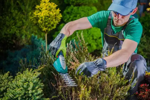 landscaping services Gnadenhutten